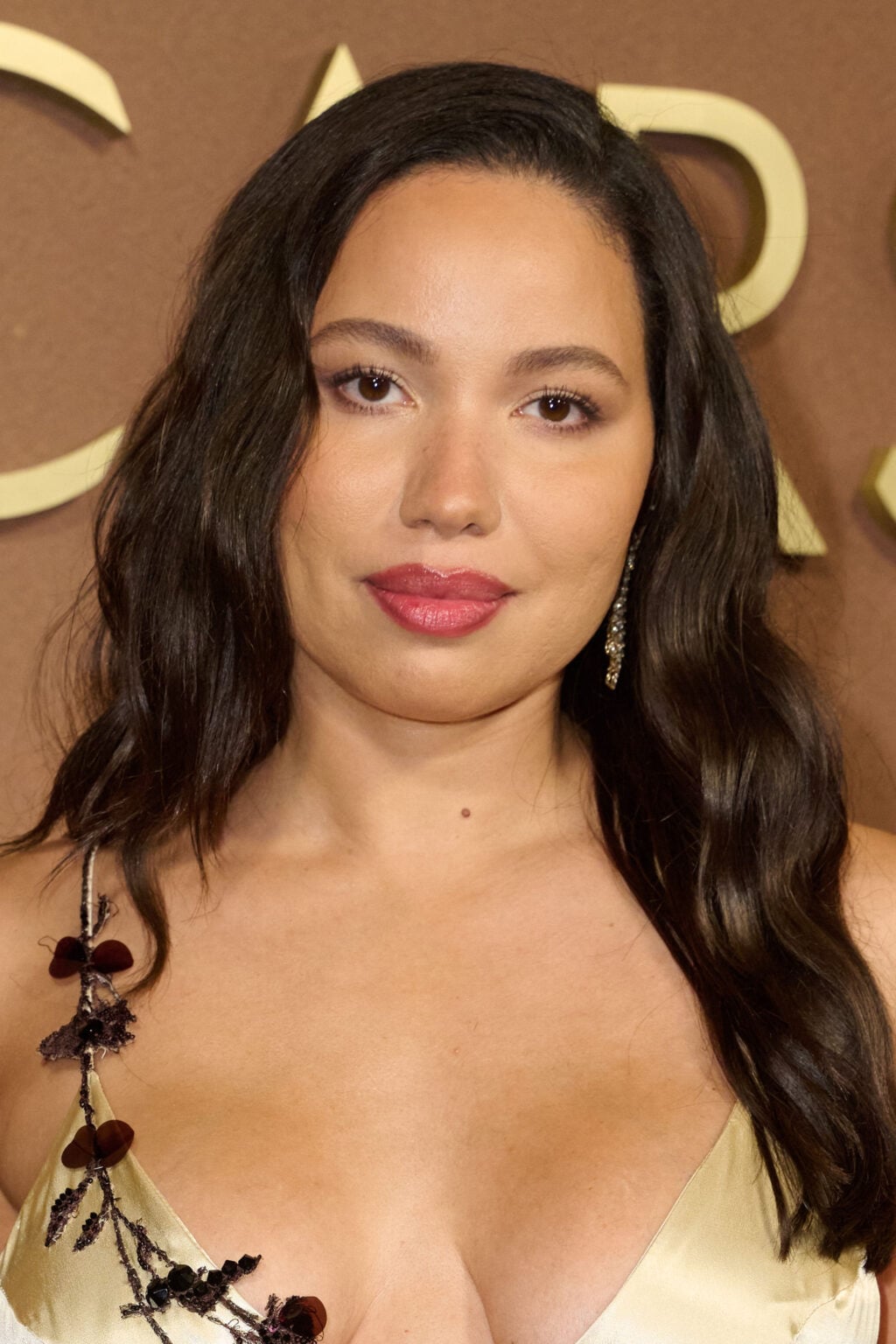 Governors Awards 2025: Best Hair and Makeup Looks