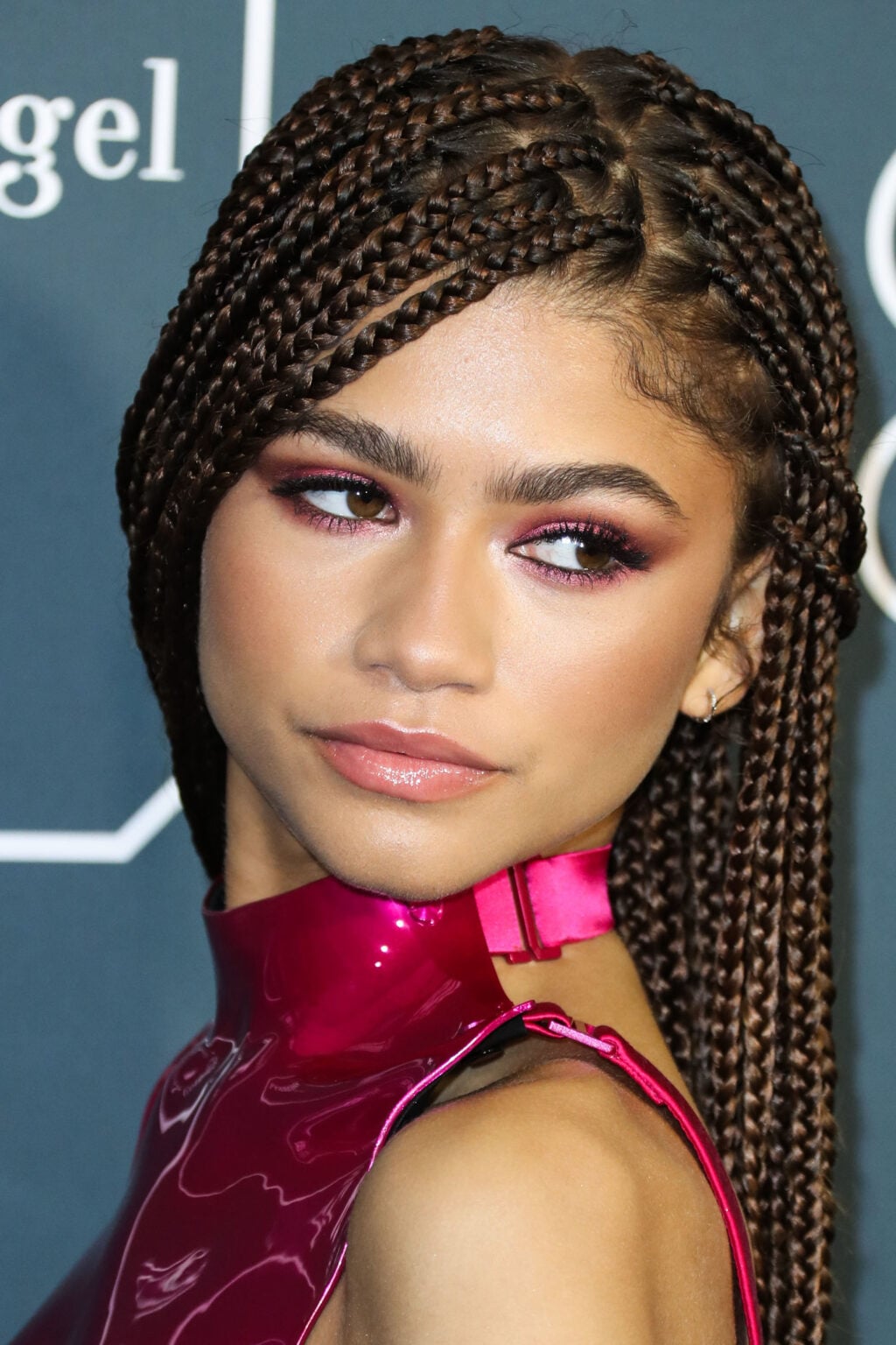 Zendaya Before and After: Plastic Surgery Rumors